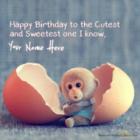 Cute Monkey Birthday Wish
