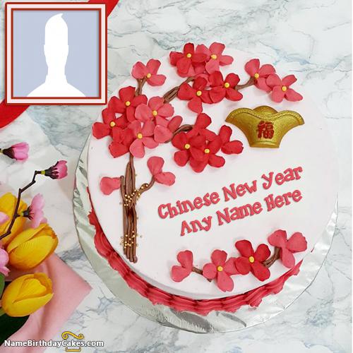 Chinese Cake For Lunar New Year 2017