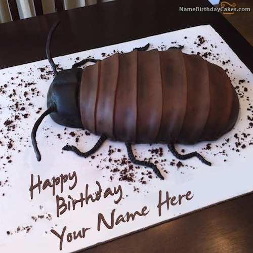 Cockroach Birthday Cake With Name
