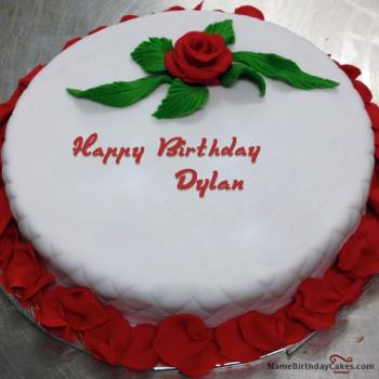 Happy Birthday Dylan - Video And Images